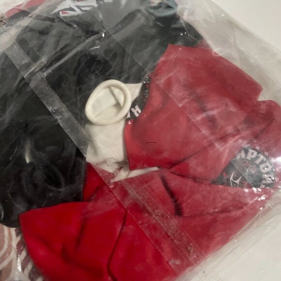 Toronto Raptors Basketball Party Kit - Picture 2 of 9